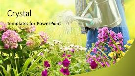  Presentation with garden - Cool new presentation with watering flowers in garden backdrop and a blonde colored foreground