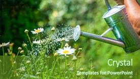  Presentation with fertilizer flowers - PPT theme enhanced with watering flowers with a watering background and a tawny brown colored foreground
