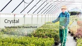  Presentation with plants - Colorful PPT theme enhanced with watering plants using a hose backdrop and a mint green colored foreground