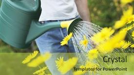  Presentation with yellow green - PPT theme with watering-yellow-summer-flowers background and a  colored foreground