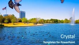  Presentation with doves - Presentation theme with mc - houston mc govern lake background and a teal colored foreground