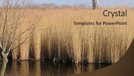  Presentation with dutch economy - Colorful presentation enhanced with watermanagement - dutch reed landscape 1 backdrop and a  colored foreground