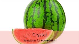  Presentation with scroll paper isolated on white - PPT layouts enhanced with watermelon isolated on white background background and a coral colored foreground