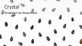  Presentation with seeds - Slides consisting of watermelon seeds on white background background and a white colored foreground