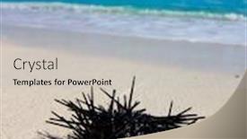  Presentation with resort - Amazing slide deck having waters-surf-resort backdrop and a light blue colored foreground