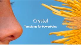  Presentation with allergy - Audience pleasing PPT theme consisting of watery eyes - mum - flower and closeup backdrop and a  colored foreground