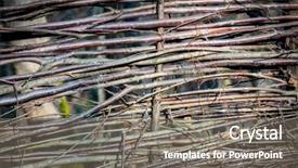  Presentation with abstract - PPT theme consisting of wattle wooden fence - abstract natural background background and a gray colored foreground