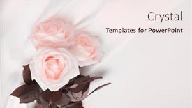  Presentation with pink silk - Presentation theme featuring wave-fabric-silk-with-beige background and a sky blue colored foreground