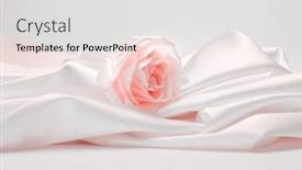  Presentation with pink silk - Theme with wave-fabric-silk-with-beige background and a light gray colored foreground