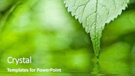  Presentation with water sun - Presentation design enhanced with wave green - leaves in the forest background and a shamrock green colored foreground