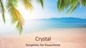  Presentation with beach palm tree wedding - Beautiful presentation theme featuring wave spring - palm and tropical beach backdrop and a lemonade colored foreground