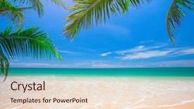  Presentation with palm beach - Cool new theme with wave spring - palm and tropical beach backdrop and a lemonade colored foreground