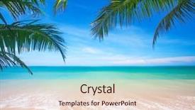  Presentation with palm beach - PPT layouts enhanced with wave spring - palm and tropical beach background and a lemonade colored foreground