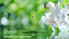  Presentation with spa concept - Beautiful slide deck featuring waving-water-surface-with-orchid backdrop and a forest green colored foreground
