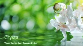  Presentation with spa concept - PPT theme having waving-water-surface-with-orchid background and a forest green colored foreground