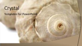  Presentation with sea shell - Colorful presentation theme enhanced with wawes - curl of the sea shell backdrop and a  colored foreground