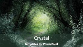  Presentation with deep - Cool new presentation theme with way in deep forest backdrop and a tawny brown colored foreground