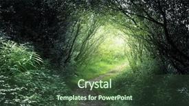  Presentation with deep - Presentation with way in deep forest background and a tawny brown colored foreground