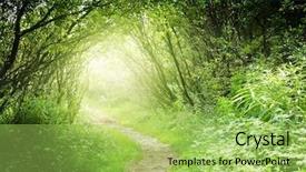  Presentation with woodland - Cool new slide deck with way in deep forest backdrop and a yellow colored foreground