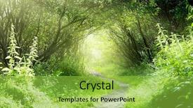  Presentation with deep - Cool new PPT theme with way in deep forest backdrop and a yellow colored foreground