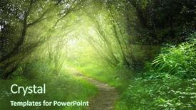  Presentation with deep - Slides featuring way in deep forest background and a tawny brown colored foreground