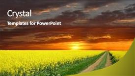  Presentation with rapeseed - Beautiful slides featuring way in rapeseed field backdrop and a tawny brown colored foreground