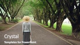  Presentation with decision - Slides enhanced with way under the tree background and a gray colored foreground