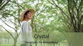  Presentation with decision - PPT layouts consisting of way under the tree background and a seafoam green colored foreground