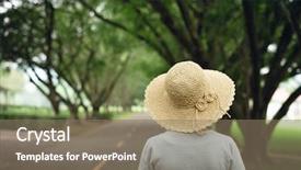  Presentation with decision - Colorful PPT theme enhanced with way under the tree backdrop and a coral colored foreground