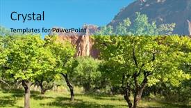  Presentation with orchard - Beautiful presentation design featuring wayne state - desert orchard backdrop and a  colored foreground