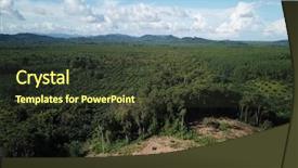  Presentation with plantation palm oil - PPT layouts consisting of ways energy conservation - deforestation logging excavator cutting down background and a tawny brown colored foreground