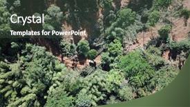  Presentation with oil palm plantation - Theme featuring ways energy conservation - deforestation logging excavator cutting down background and a dark gray colored foreground