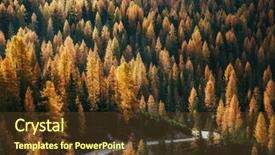  Presentation with road - Audience pleasing presentation consisting of ways paths picture - great view of winding road backdrop and a tawny brown colored foreground