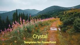  Presentation with ukraine - Audience pleasing PPT theme consisting of ways paths picture - location carpathian national park ukraine backdrop and a  colored foreground