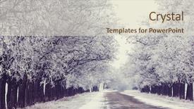  Presentation with paths - Beautiful PPT theme featuring ways paths picture - winter alley backdrop and a lemonade colored foreground