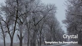  Presentation with murder winter - Theme having ways paths picture - winter alley background and a  colored foreground