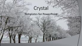  Presentation with winter taiga - Colorful theme enhanced with ways paths picture - winter alley backdrop and a light gray colored foreground