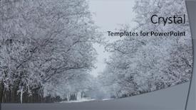  Presentation with winter - PPT theme with ways paths picture - winter alley background and a light gray colored foreground