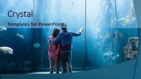  Presentation with fish aquarium - Presentation theme with tank at the aquarium background and a light blue colored foreground