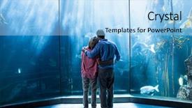  Presentation with fish aquarium - Beautiful PPT theme featuring wear view of couple looking at fish in the tank at the aquarium backdrop and a light blue colored foreground