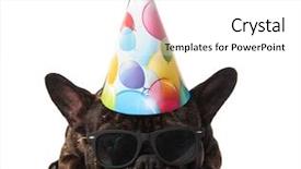  Presentation with birthday - Colorful PPT theme enhanced with wearing birthday hat and sunglasses backdrop and a  colored foreground