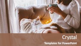  Presentation with winter scene - Slides consisting of weather - cold autumn or winter weekend background and a tawny brown colored foreground