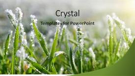  Presentation with ice crystals - Slides with weather - ice crystals on green grass background and a light gray colored foreground