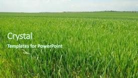  Presentation with agriculture field - Presentation theme consisting of weather agriculture - agricultural field in late sunlight background and a tawny brown colored foreground