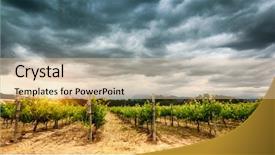  Presentation with winery - Slides with weather agriculture - beautiful vineyard landscape over cloudy background and a lemonade colored foreground