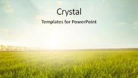  Presentation with agriculture field - PPT theme enhanced with weather agriculture - green meadow under blue sky background and a sky blue colored foreground