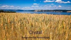  Presentation with rural - Theme with weather agriculture - norwegian rural landscape with ripening background and a gold colored foreground