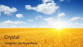  Presentation with sun rays on blue sky - Colorful presentation theme enhanced with weather agriculture - wheat field and sun backdrop and a  colored foreground