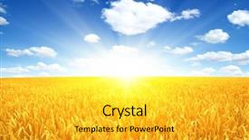  Presentation with agriculture field - PPT layouts featuring weather agriculture - wheat field and sun background and a yellow colored foreground