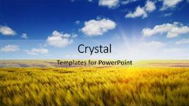  Presentation with agriculture field - Colorful theme enhanced with weather agriculture - wheat field and sun backdrop and a light blue colored foreground